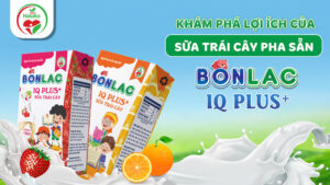 sua-trai-cay-pha-san-bonlac-iq-plus